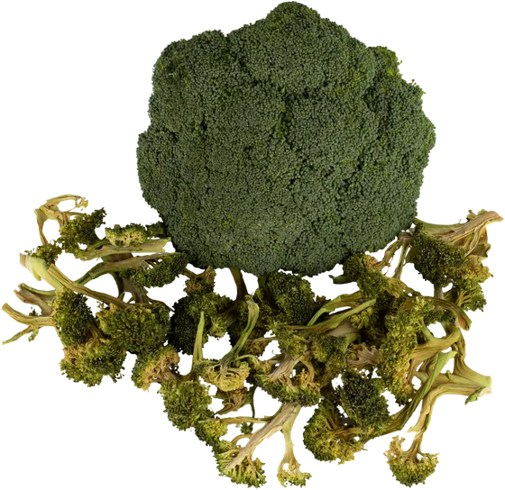 Broccoli